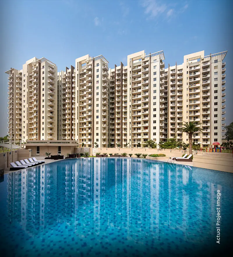 M3M Woodshire – swimming pool with the towers behind (actual photograph)