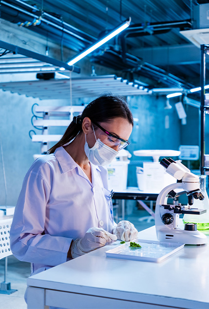 Biotech & Pharma at M3M GIC Manesar