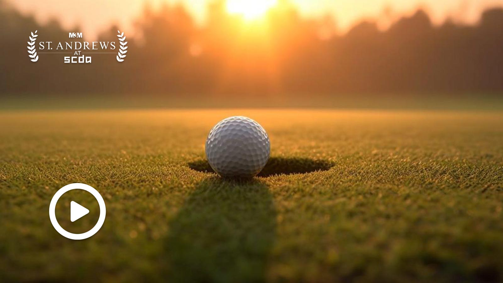 M3M St Andrews Video Walkthrough